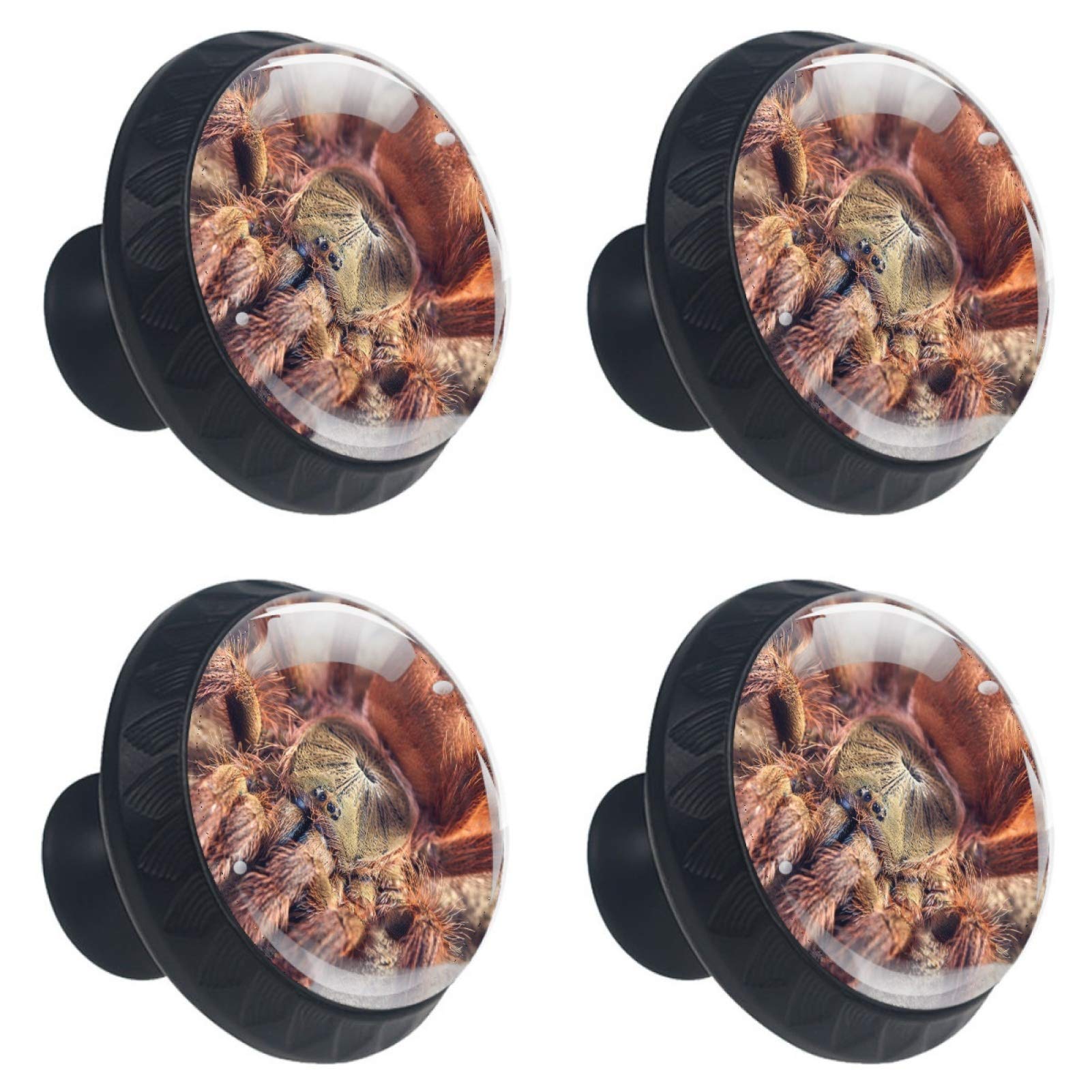 Bouton de tiroir tarantule mexicain en cristal 30 mm pour poignée d'armoire