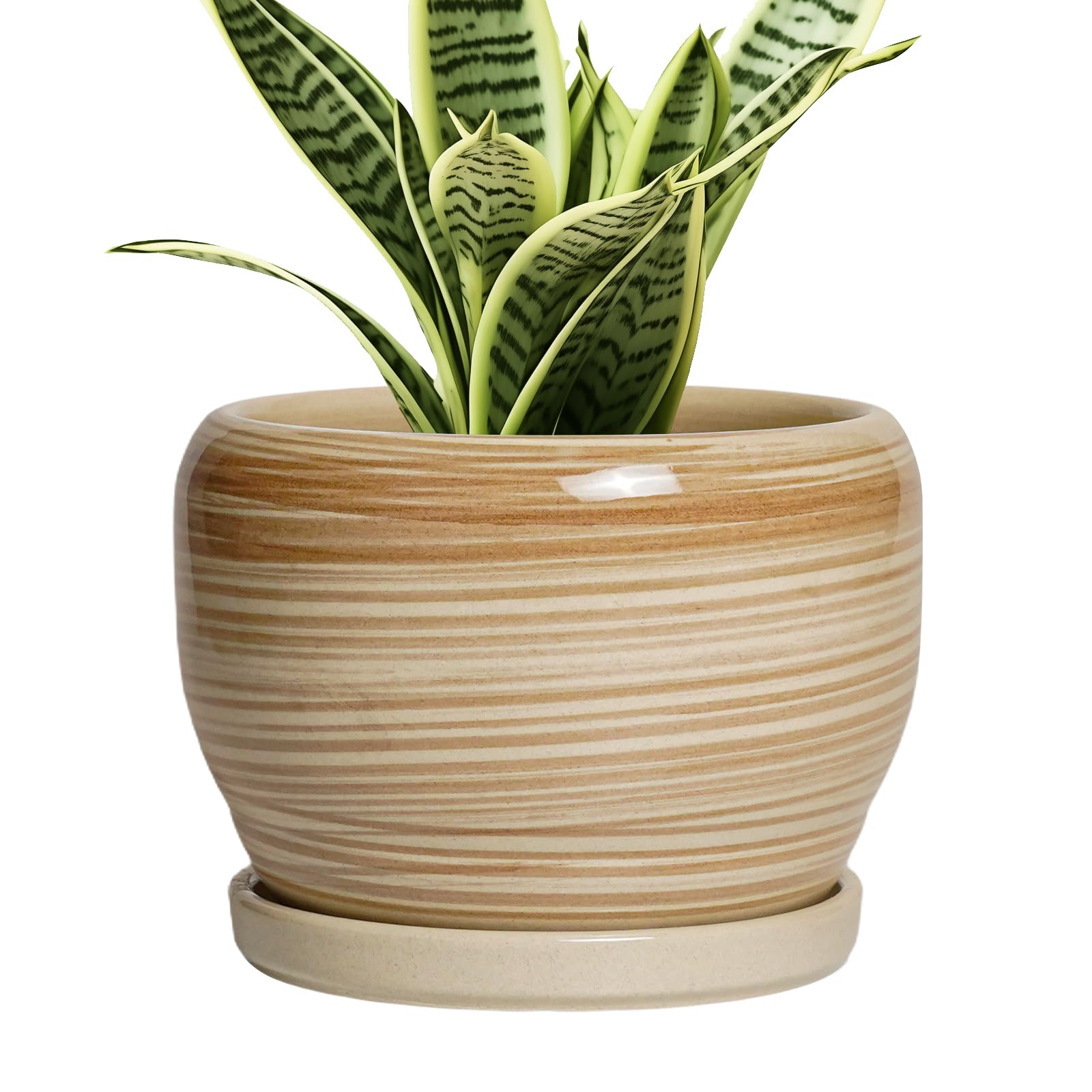 SQOWL Ceramic Pot for Plants - 6 Inch Indoor Planter with Drainage Hole and Tray, Round Modern Flower Pot Outdoor, Decorative Succulent Planter,