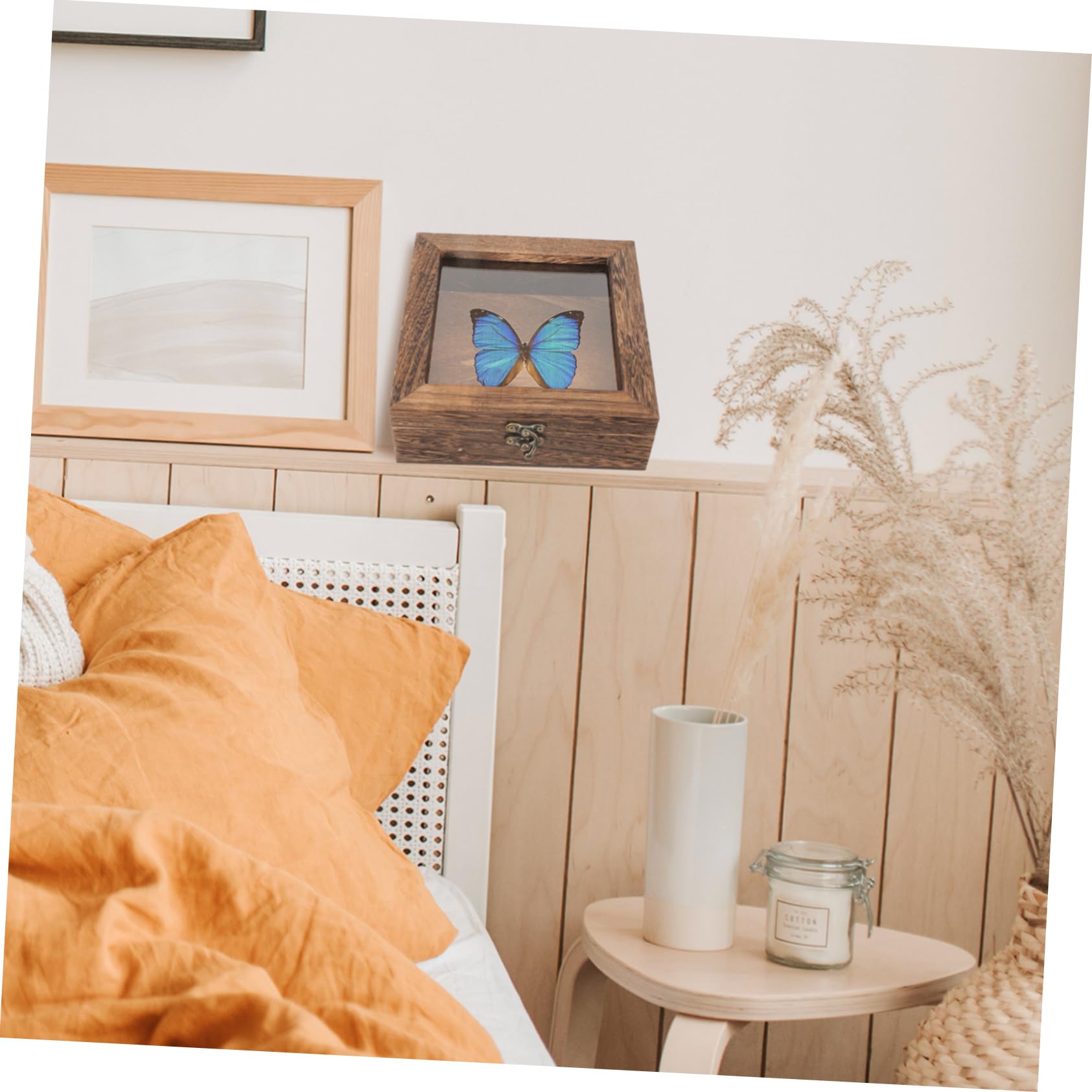 MOBUTOFU Box Butterfly Specimen Box Insect Sample Case Viewer Clear Display Case Specimen Display Case Jewelry Storage Organizer Lids Specimen Case Display Cabinet Acrylic