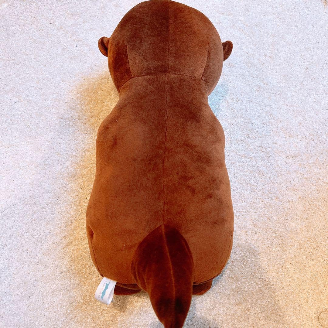 Amazon.co.jp: 四国水族館 カワウソ ぬいぐるみ くじ 2等 : Toys & Games