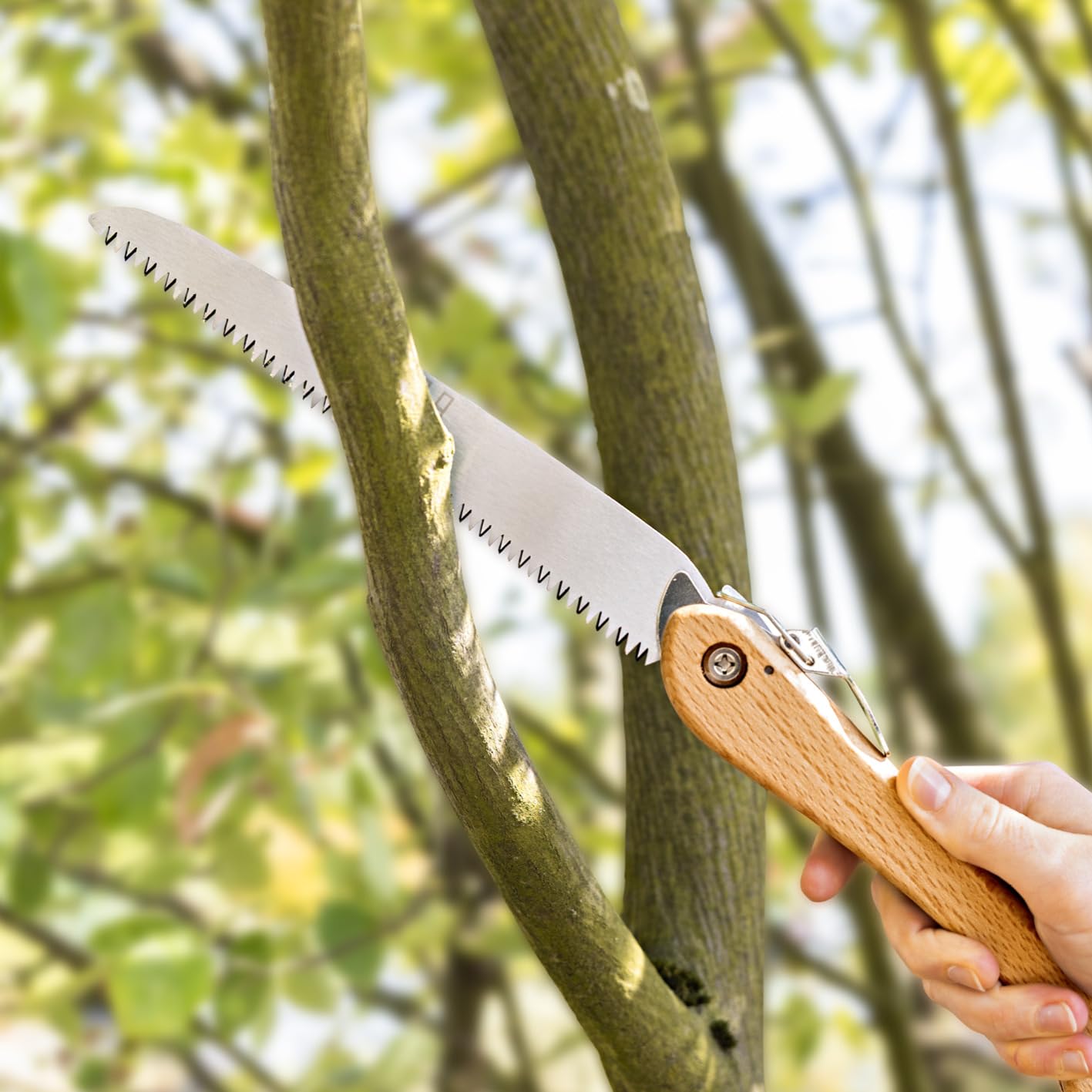HARDTWERK Scie pliante Alpha avec manche en bambou (210 mm) pour jardin, extérieur, Bushcraft avec mousqueton en S, scie à main en acier au carbone SK5, scie à main pliante polyvalente, scie à main de