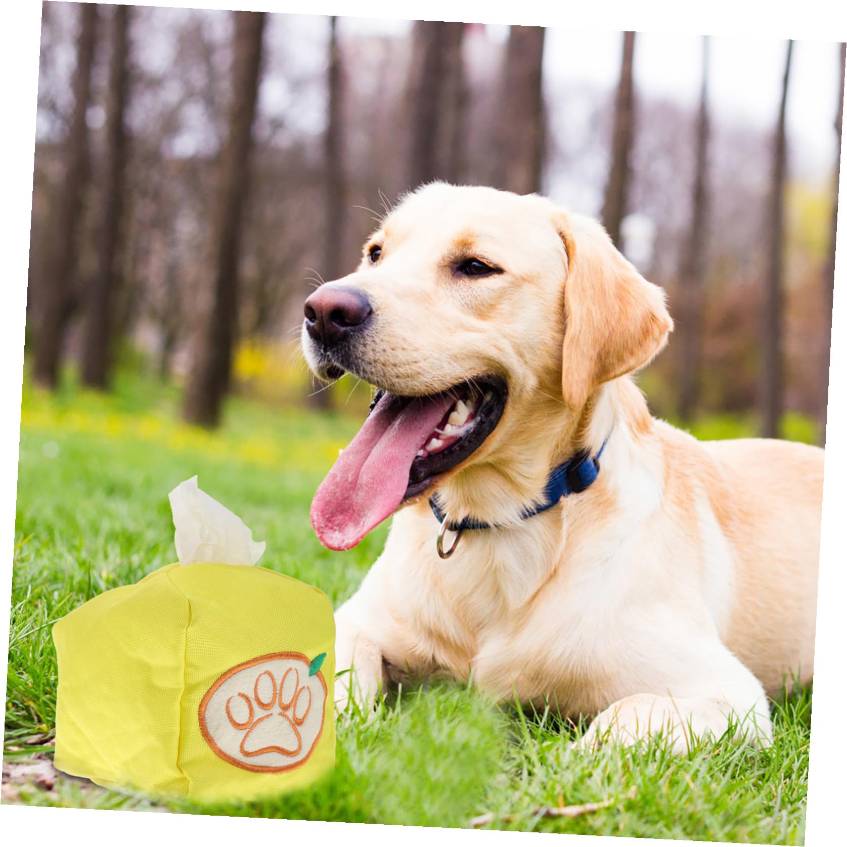 YARNOW 5piezas Juguete Interactivo De Forrajeo para Perros Entrenamiento De y Estimulación Mental para Perros Pequeños y Medianos Juguete para Consumir Energía y Diversión