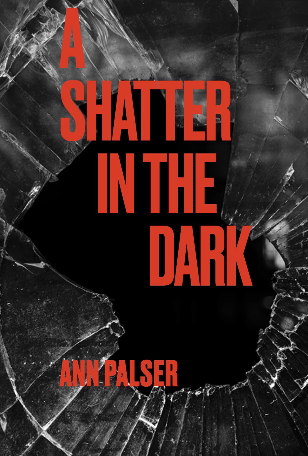 A shatter in the Dark Kindle edition by Palser, Ann . Romance Kindle(02)