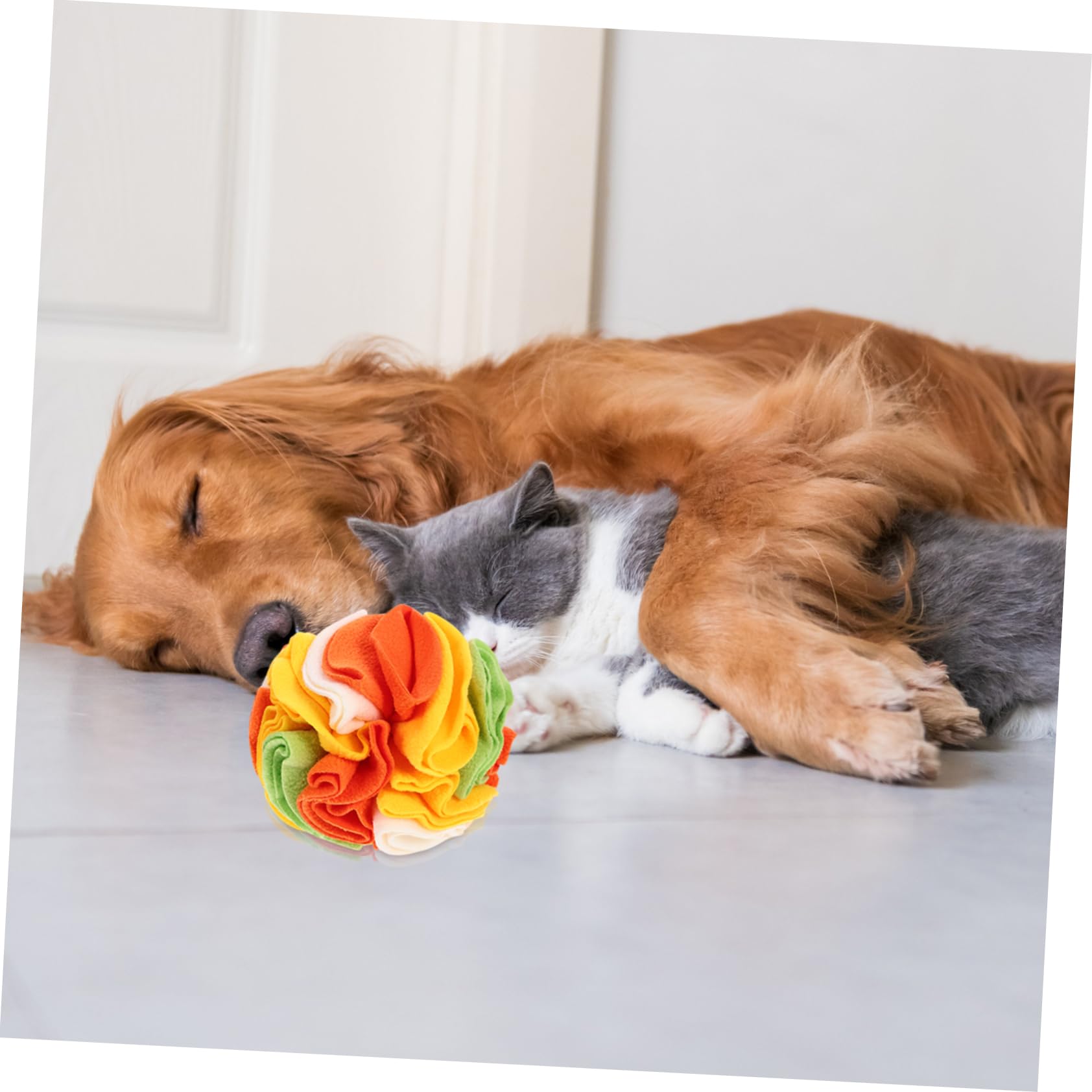 Kisangel 3stücke Hundeschnüffelball Interaktives Spielzeug Für Hunde Slow Feeder Zur des Fressverhaltens Langlebig Und Waschbar Für Welpen Und Kleine Hunde
