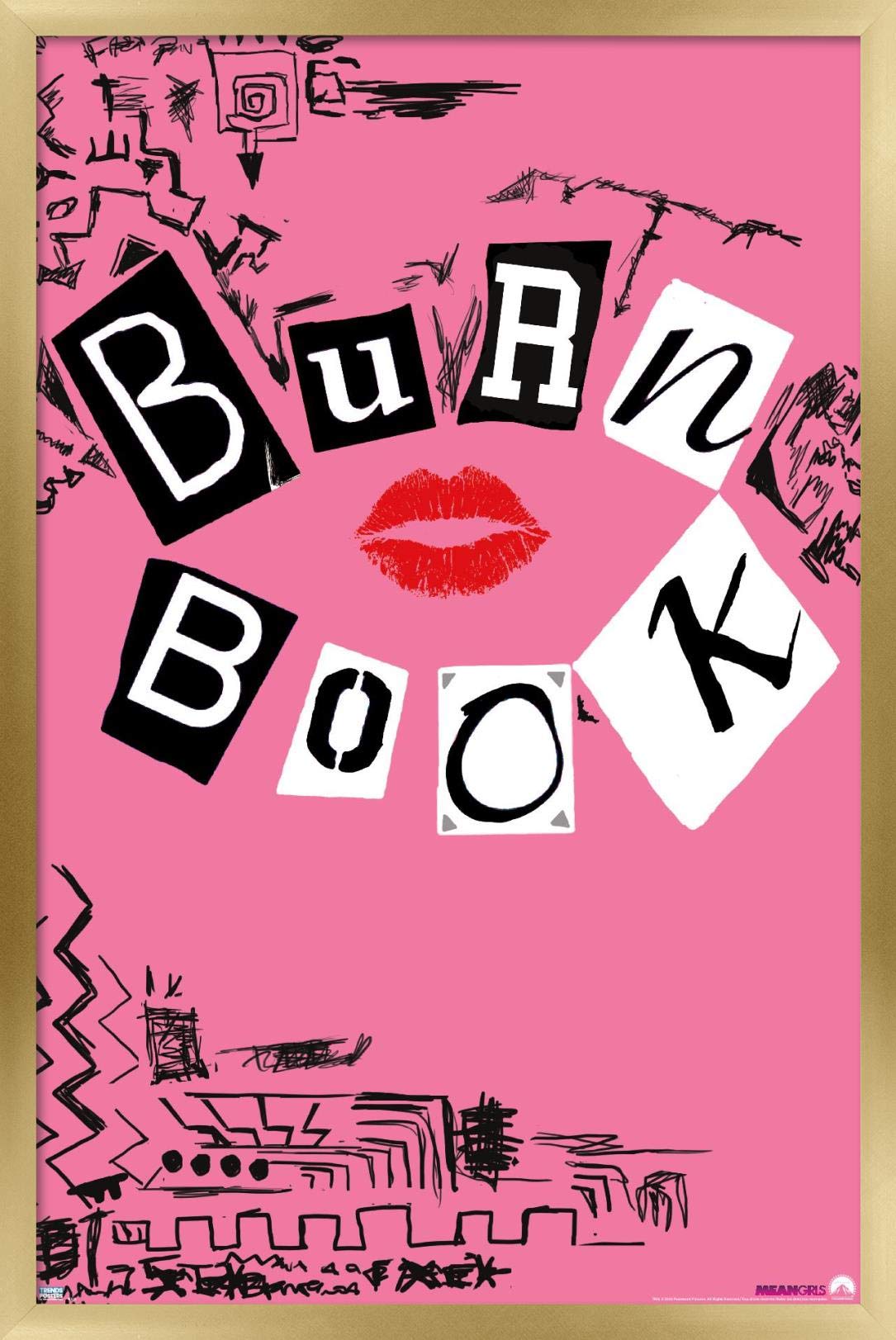 Burn Note バーンブックミーンガールズ