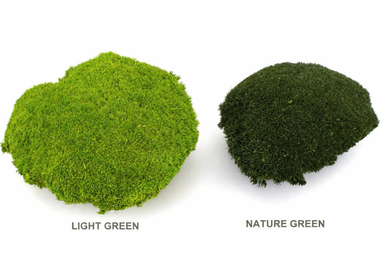 Konserviertes Kugelmoos Premium – Mini & Large – Naturgrün/Hellgrün – nach Gewicht 100g/250g/500g – für Moosbilder, DIY & Deko (Hellgrün, Mini Ball 100 g)