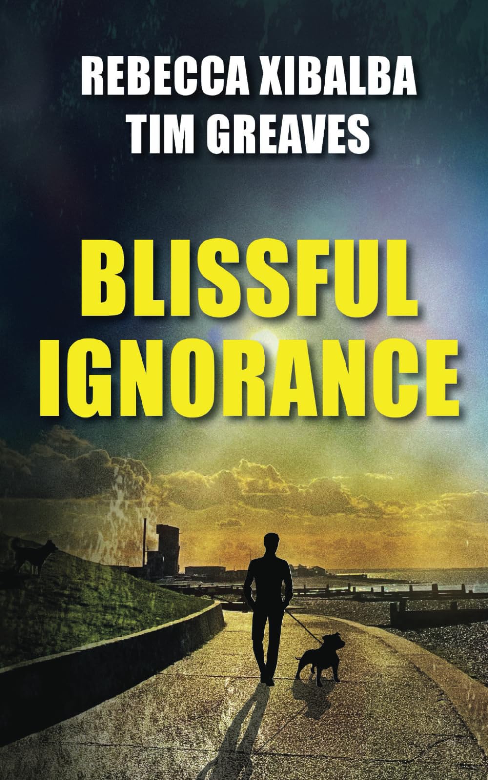 Blissful Ignorance