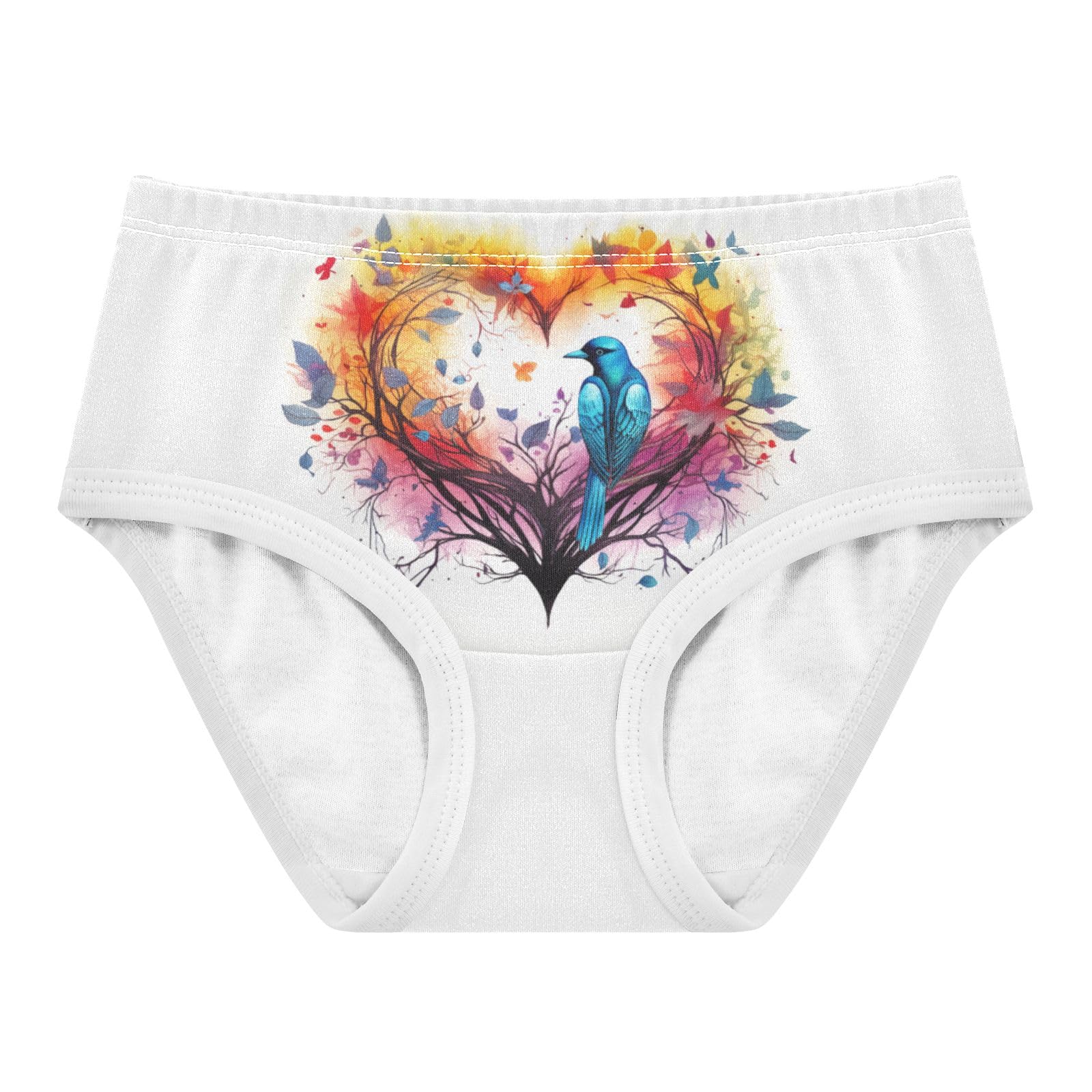 ALAZA Toddler Girls Cotton Hipster Underwear Soft Bird Heart 2 Pack 2T