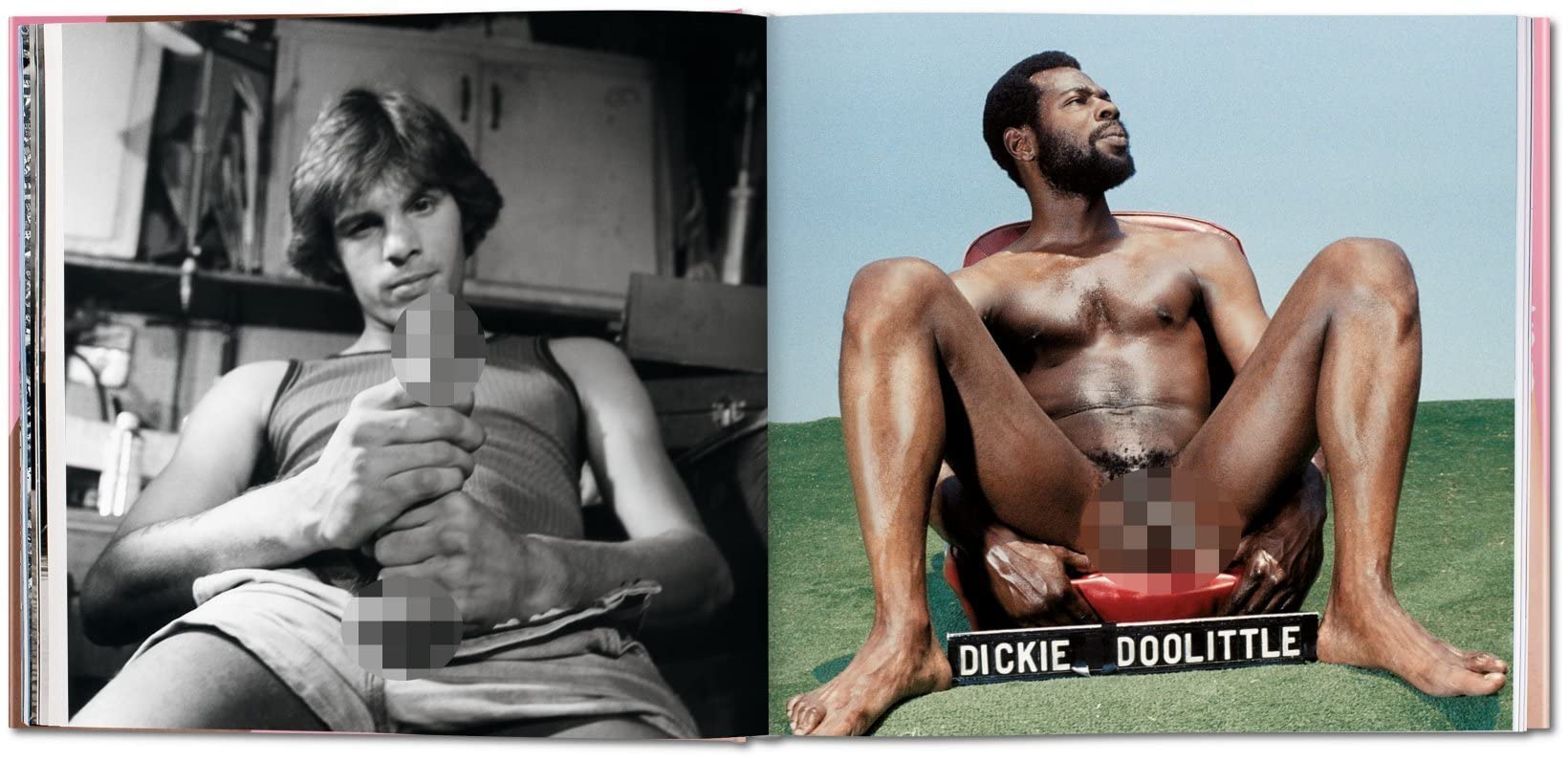The Big Penis Book: The Fascinating Phallus