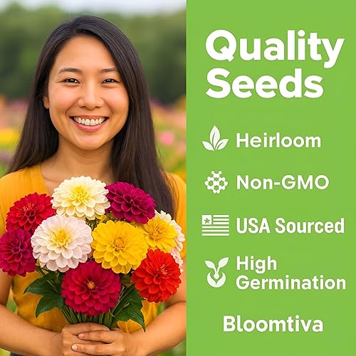 Miniatura 4 de Dahlia - Semillas de zinnia a granel, 1100 semillas de zinnia tradicionales para plantar al aire libre, colores mezclados y flores grandes para
