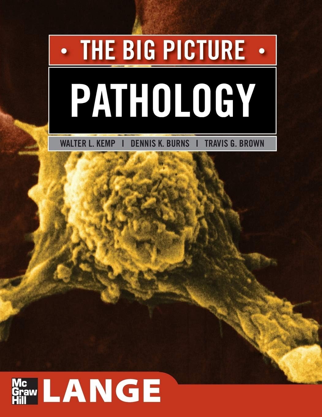 Pathology: The Big Picture (LANGE The Big Picture) 1st Edition