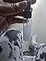 Review image 3