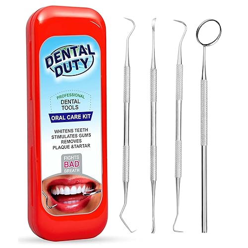 Kit de higiene dental, juego de herramientas dentales para eliminar cálculos y placas, raspador de ácido de acero inoxidable, palillo de dientes y