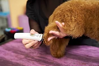 Wahl Vetiva Mini コードレスバリカン Amazon.co.jp: Wahl Professional Animal Vetiva ミニコードレス獣医