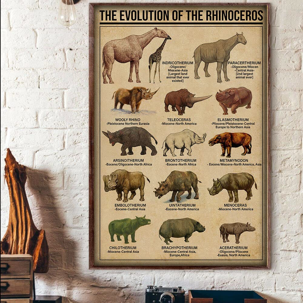 Amazon.com: Bodyard Vintage Metal Tin Sign The Evolution of The