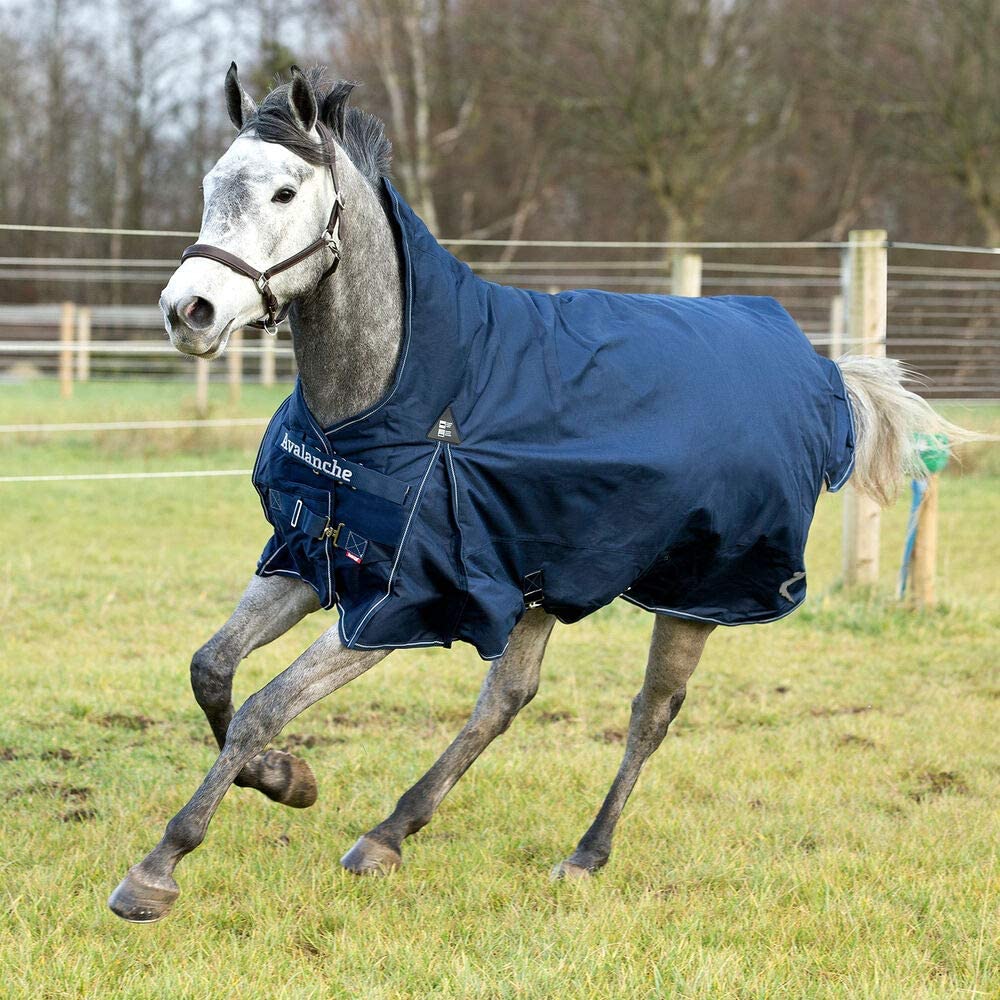 Couverture d'extérieur pour cheval imperméable bleu marine taille 78