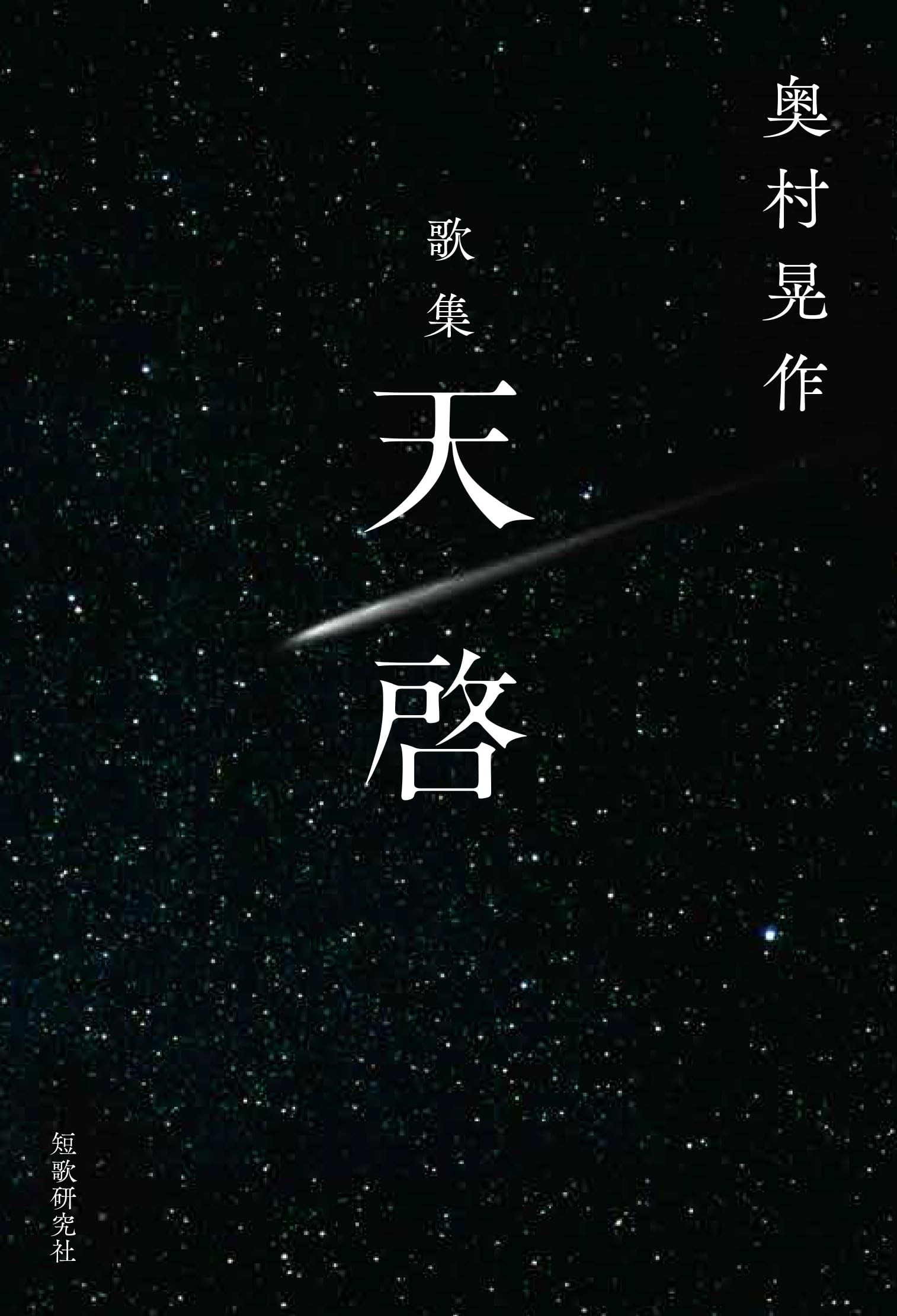 天啓 | 奥村晃作 |本 | 通販 | Amazon