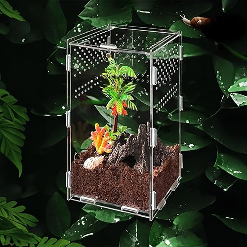 Miniatura 9 de Micro Habitat - Contenedor de vidrio para reptiles, terrario de reptiles, kit de inicio de tanque de anfibios (juego de 4 piezas) ideal para