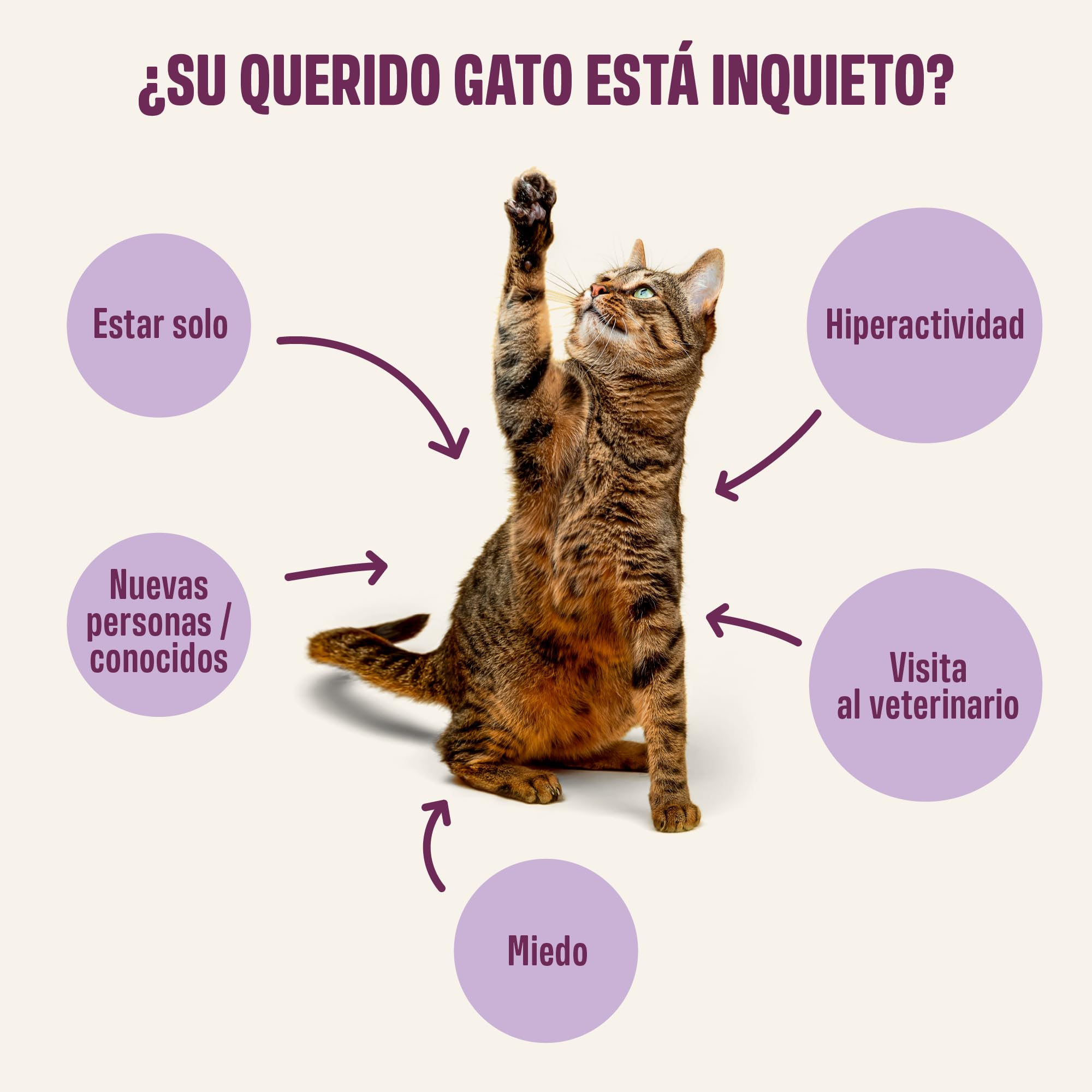 ivvi Relax Esencia para Gatos – Crema Funcional con manzanilla, L-triptófano y magnesio – Apoyo Natural al Equilibrio Emocional – 30x15g – con atún Real