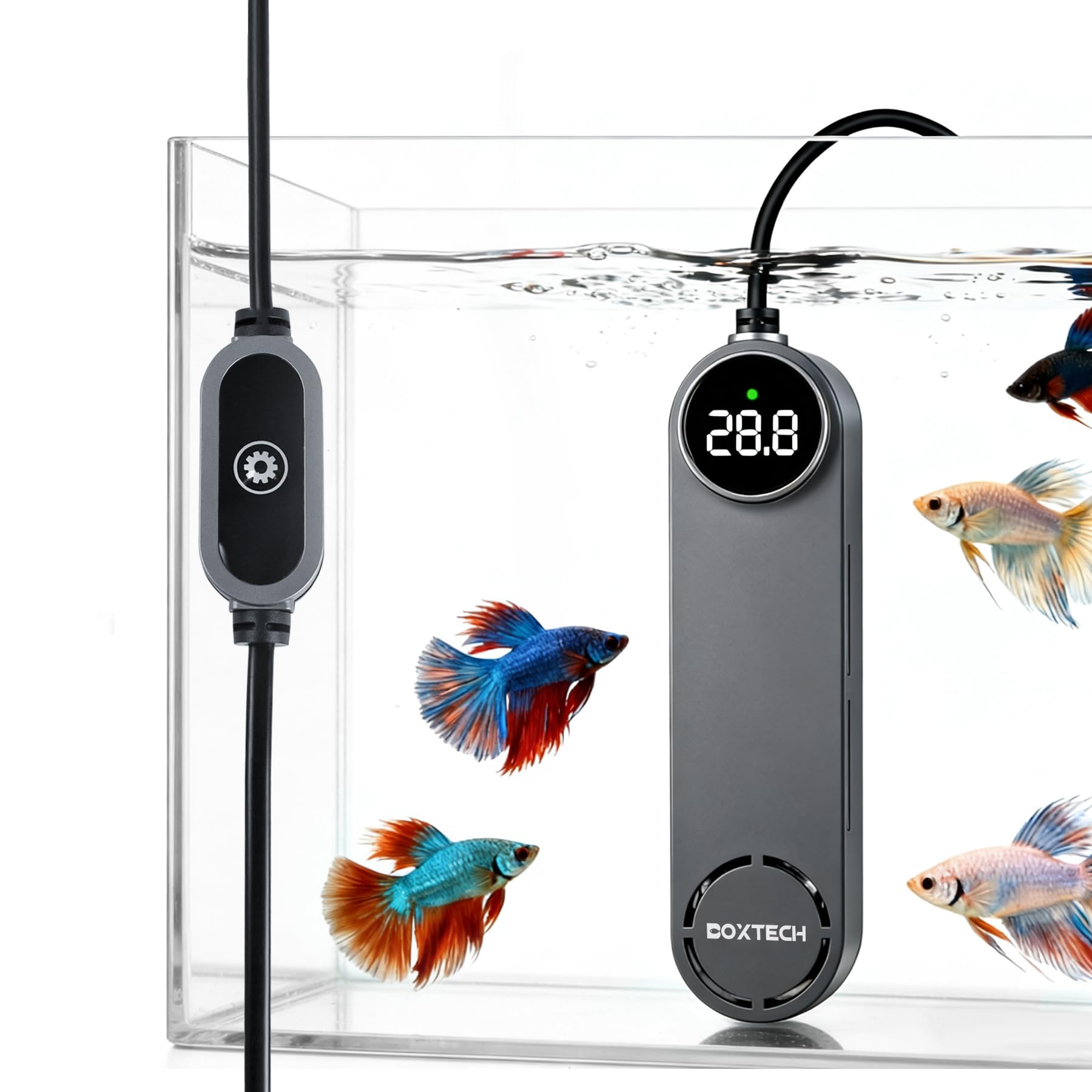 boxtech Calentador de acuario de 300 W, con pantalla digital LED, controlador de temperatura externo, protección contra sobrecalentamiento para tanque de 35 a 70 galones