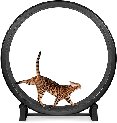 One Fast Cat - Cat Exercise Wheel - Made in the USA - 48" Diameter - Gen. 7