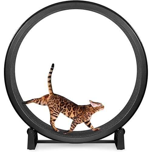 One Fast Cat - Cat Exercise Wheel - Gen. 7 - Safe 48" Diameter - Made in The USA - Black Wheel with Black Felt Traction Pads and Solid Inline Wheels