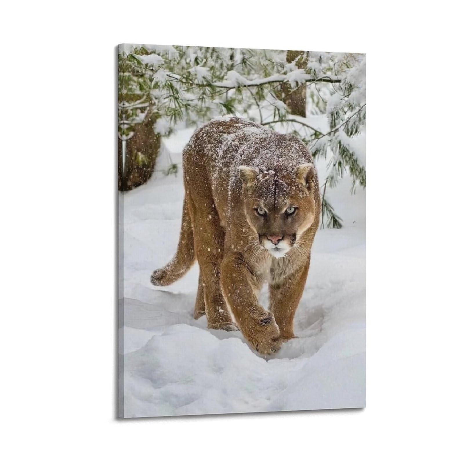 XKUGA Wild Felines Poster Cougar Big Cat Habitat Modern Decorative Canvas Prints - Ideal Wall Art for Family, Man Cave, Game Room, Boys & Girls Bedroom 20x30inch(50x75cm)