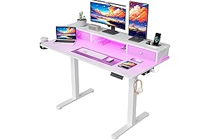 48 Inch Electric Height Adjustable Standing Desk with Drawer USB and USB-C