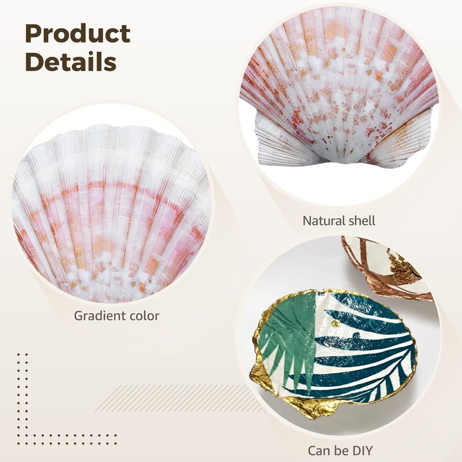16 conchiglie bianche naturali per arte murale fai da te, grandi capesante hawaiane 9,5-10,9 cm, bordi lisci, design sfumato, ideali per progetti artigianali ed eventi