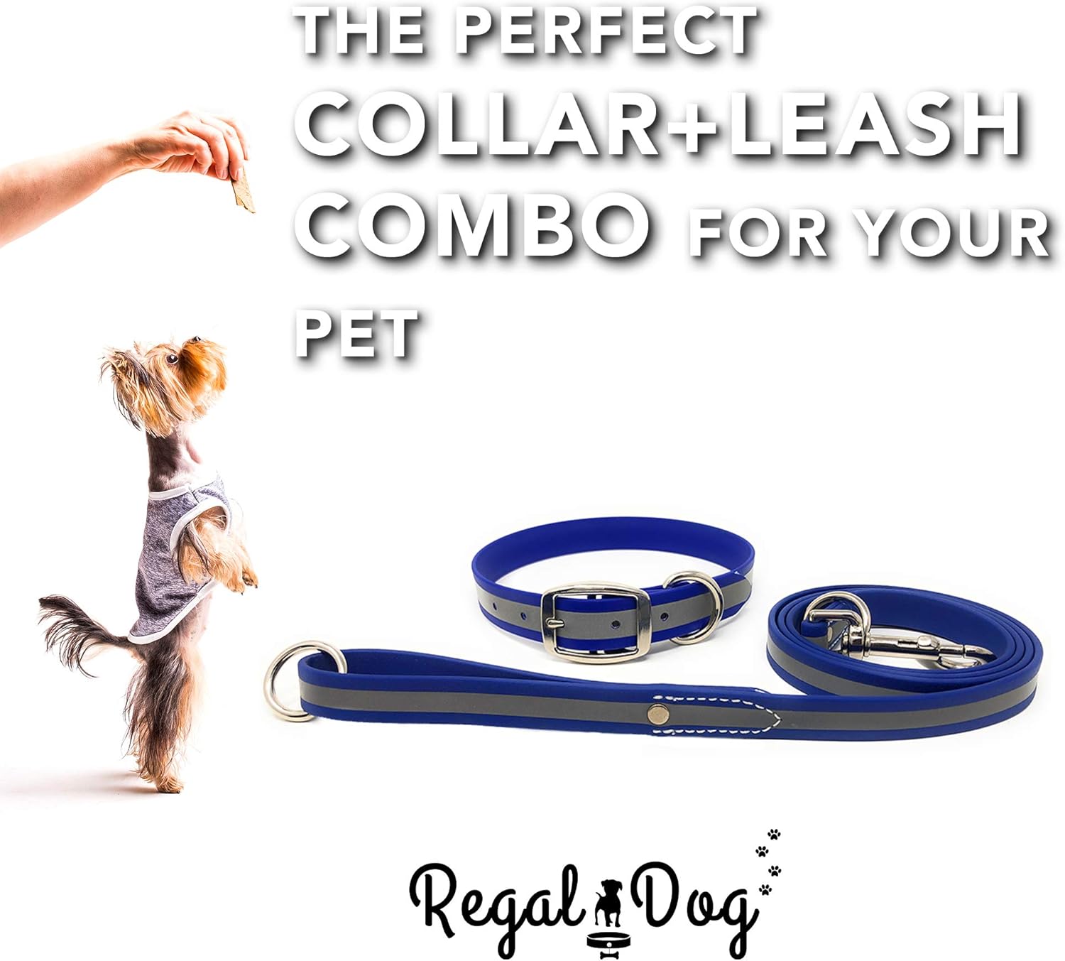 Regal Dog Products Medium Blue Reflective Dog Collar and Leash Set - Waterproof Biothane Dog Collar with Heavy Duty Double Buckle, D Ring & 5ft Leash - Other Size for Medium & Large Dogs