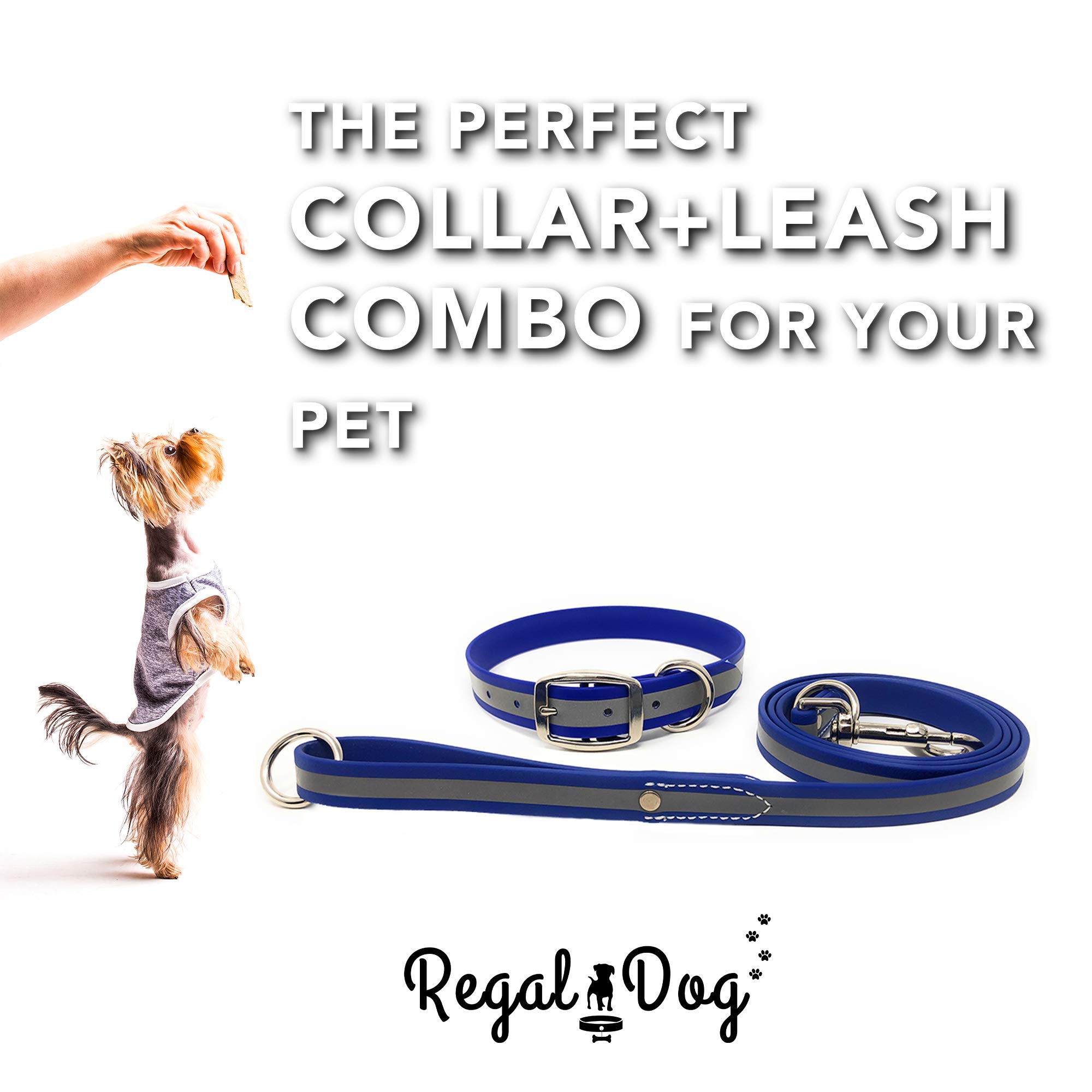 Regal Dog Products Set Collare e guinzaglio per Cani Standard Riflettente - Combo Collare e guinzaglio per Cani per Cani S/M/L (Collare e guinzaglio Standard Medio, Blu)