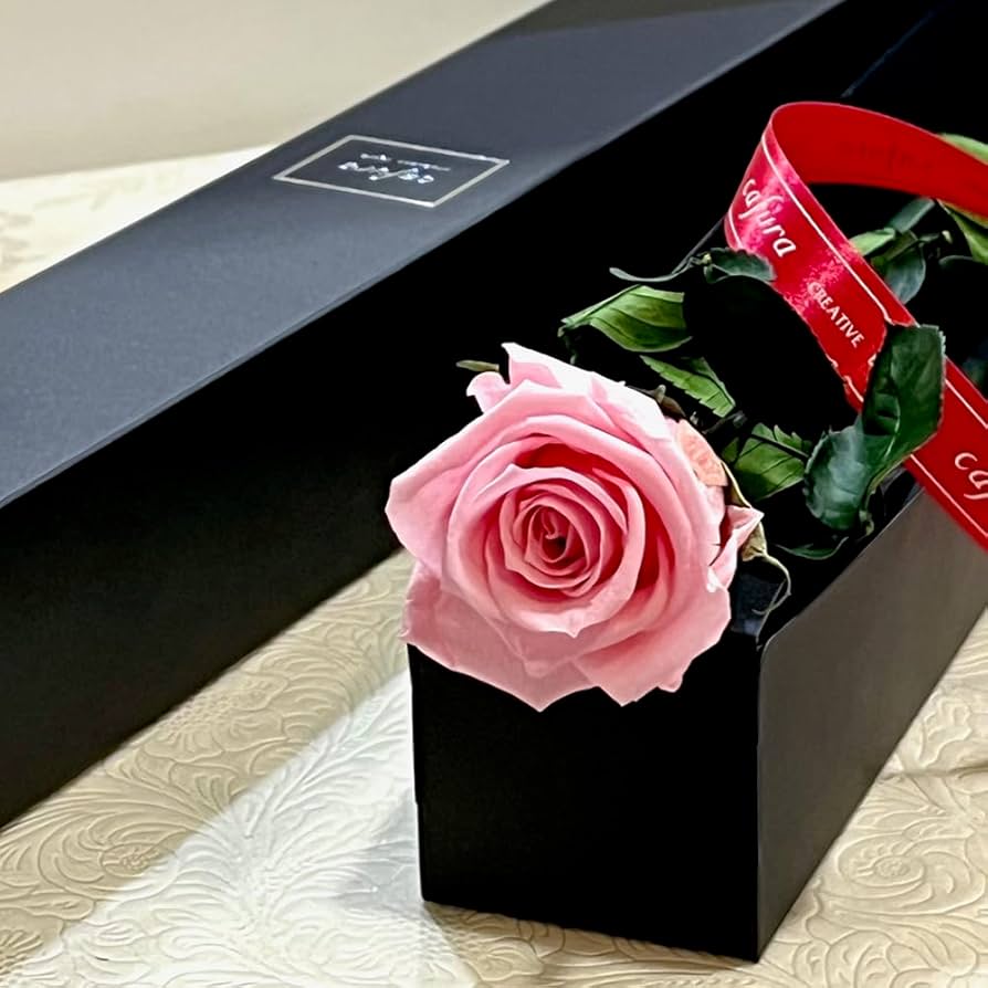 花 COACH コーチ 長財布 花柄 フラワー ホワイト 可愛い