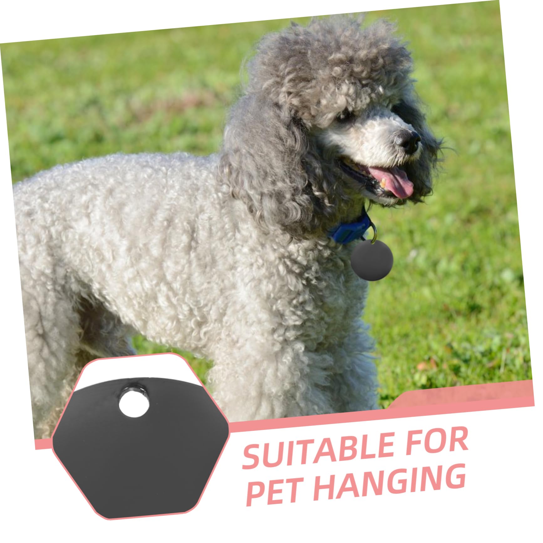 Angoily 4 Set Di Animali Domestici Piccola Etichetta Chiave Spazi Vuoti Per Medagliette Per Cani Targhette Identificative Del Cane Tag Del Cane Nero Acciaio Inossidabile 6 Pezzi*4