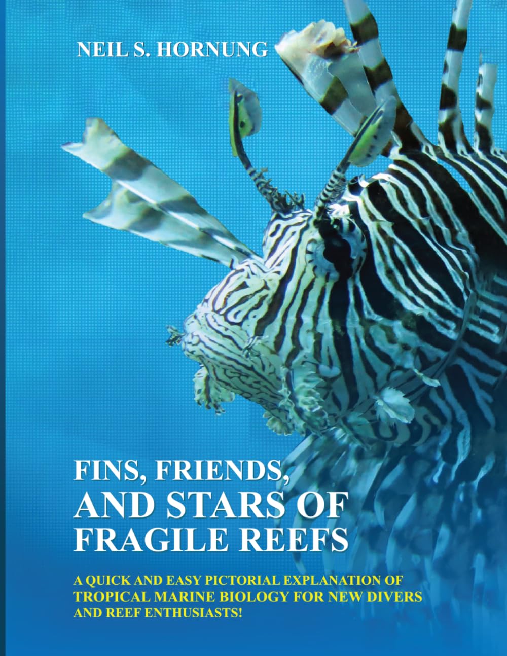Fins, Friends, and Stars of Fragile Reefs