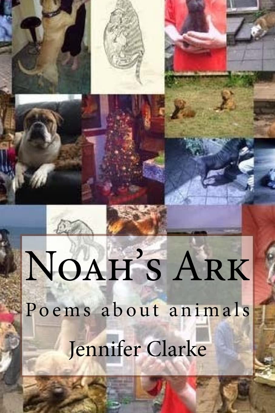 Noah's Ark: Poems about animals
