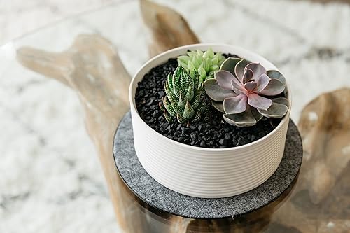 Miniatura 5 de MC-600 Tapete de corcho para plantas (6 pulgadas de diámetro, corcho, paquete de 5)  Posavasos redondos de corcho para plantas, uso como maceta,