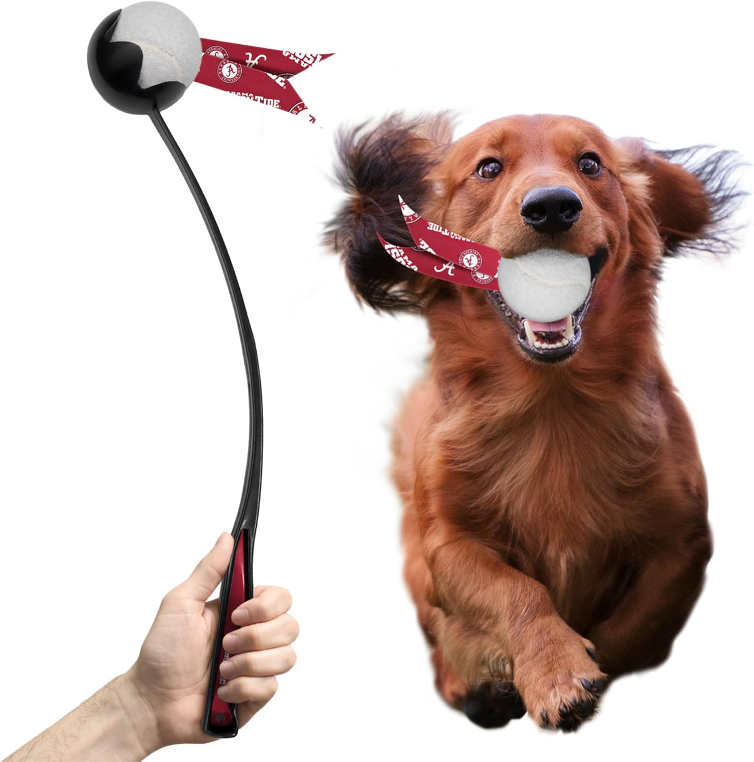 Littlearth NCAA Pet Ball Launcher