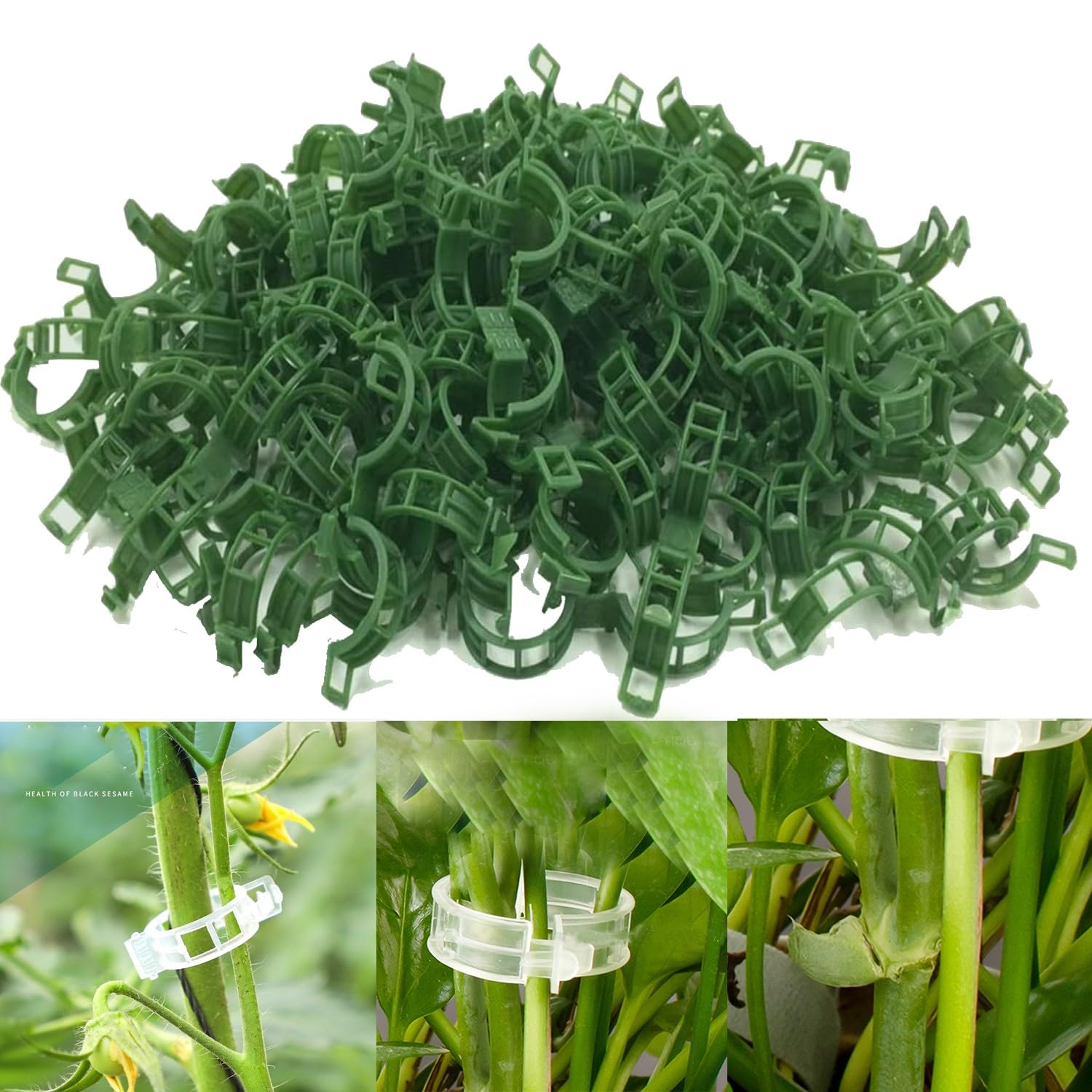 Mifull 100Pcs Plant Support Clips - Reusable Garden Clips - Plant Fixing Clips Tomato Clips - Plastic Plant Clips for Climbing Plants - Plant Support Clips for Tomato Fruit Vegetables Vine (Green)