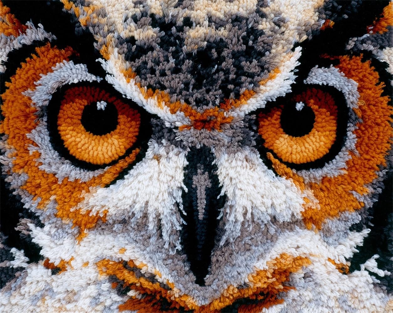 FWRTYCB Latch Hook Rug Kits, Owl face