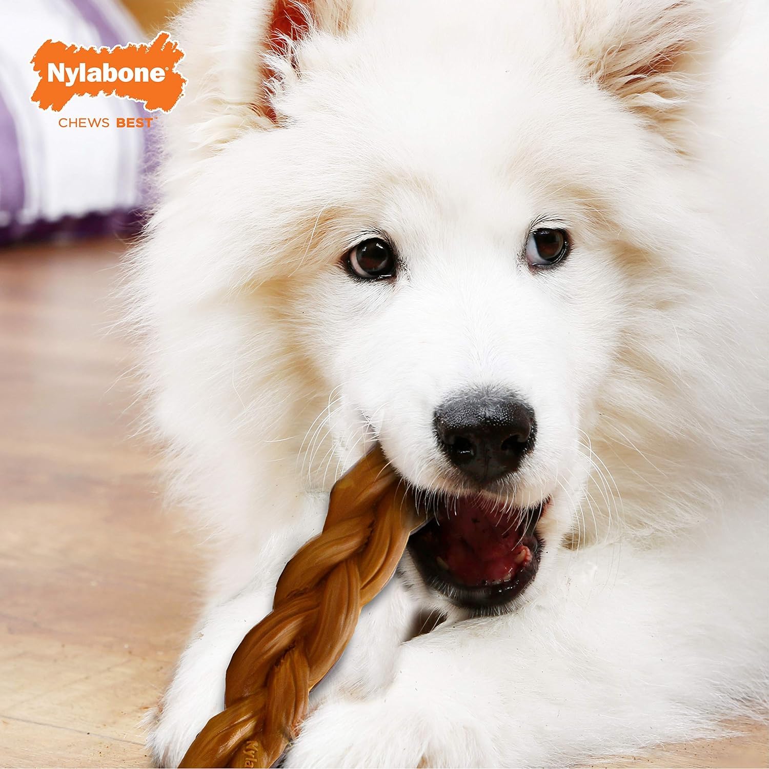 Nylabone Juego de 2 juguetes para perros de Power Masticar Extreme Masticar Extreme Masticar Masticar Masticador Alternativo Masticador, Gigante, Hecho en los Estados Unidos