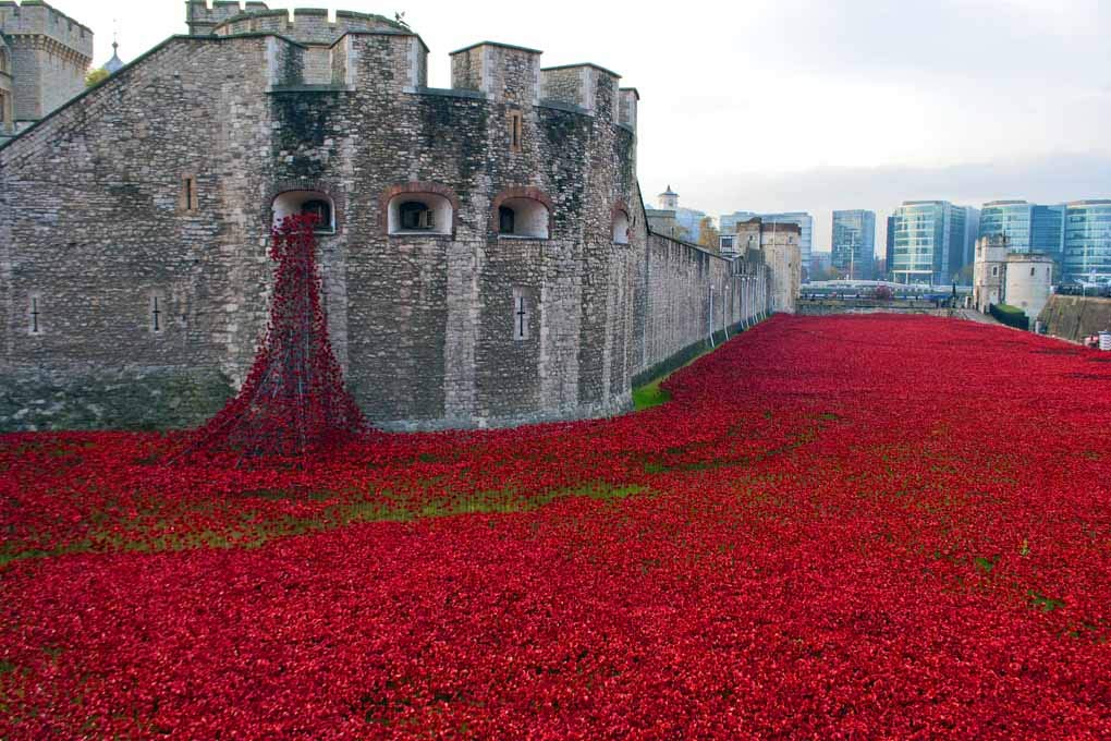 Tower Of London Poppies Logo