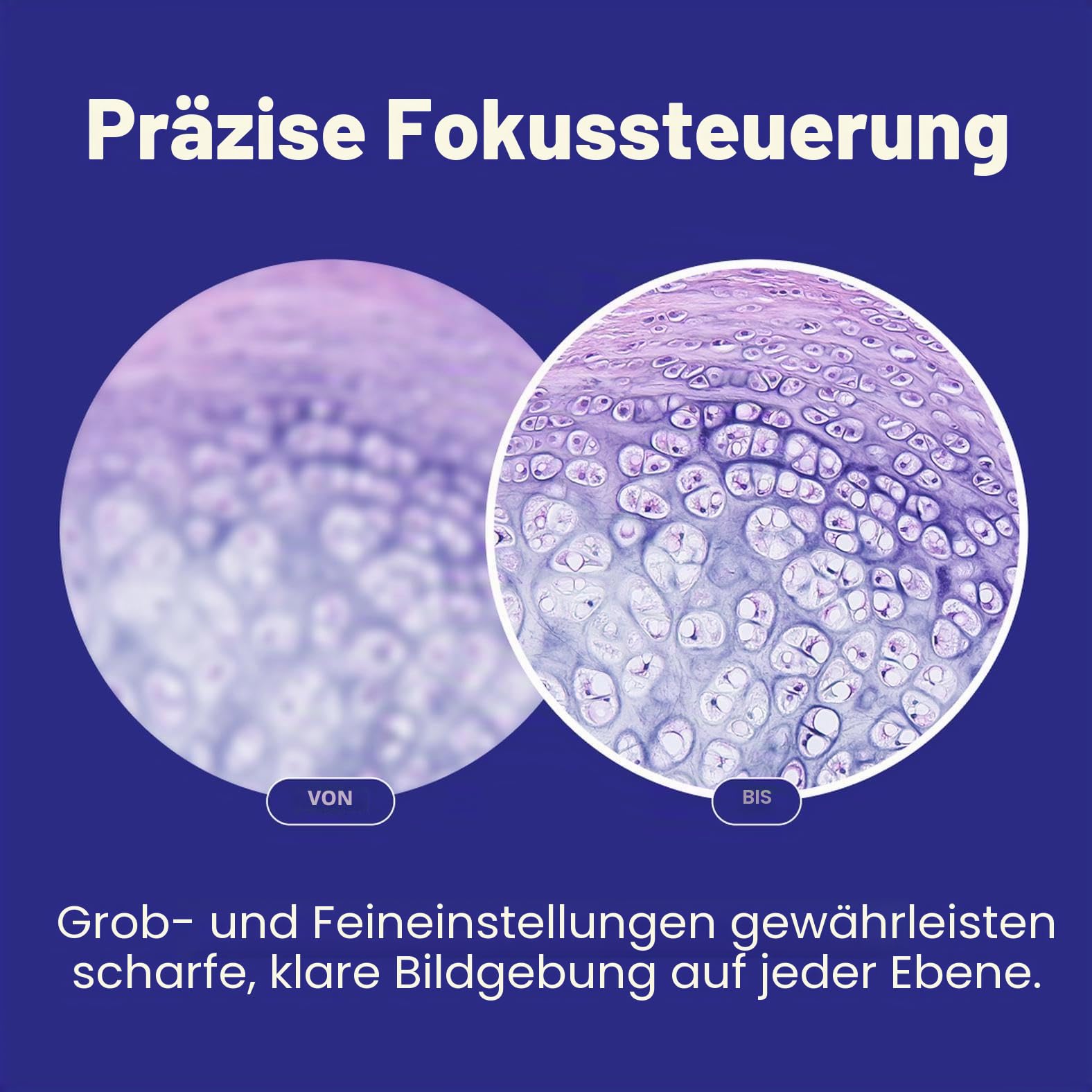 OMAX Mikroskop Fernglas 40X-2000X LED mit mechanischer Szene Doppelschicht + Blanko Dias, Abdeckungen und Linsenreinigungspapier, M82ES-SC100-LP100