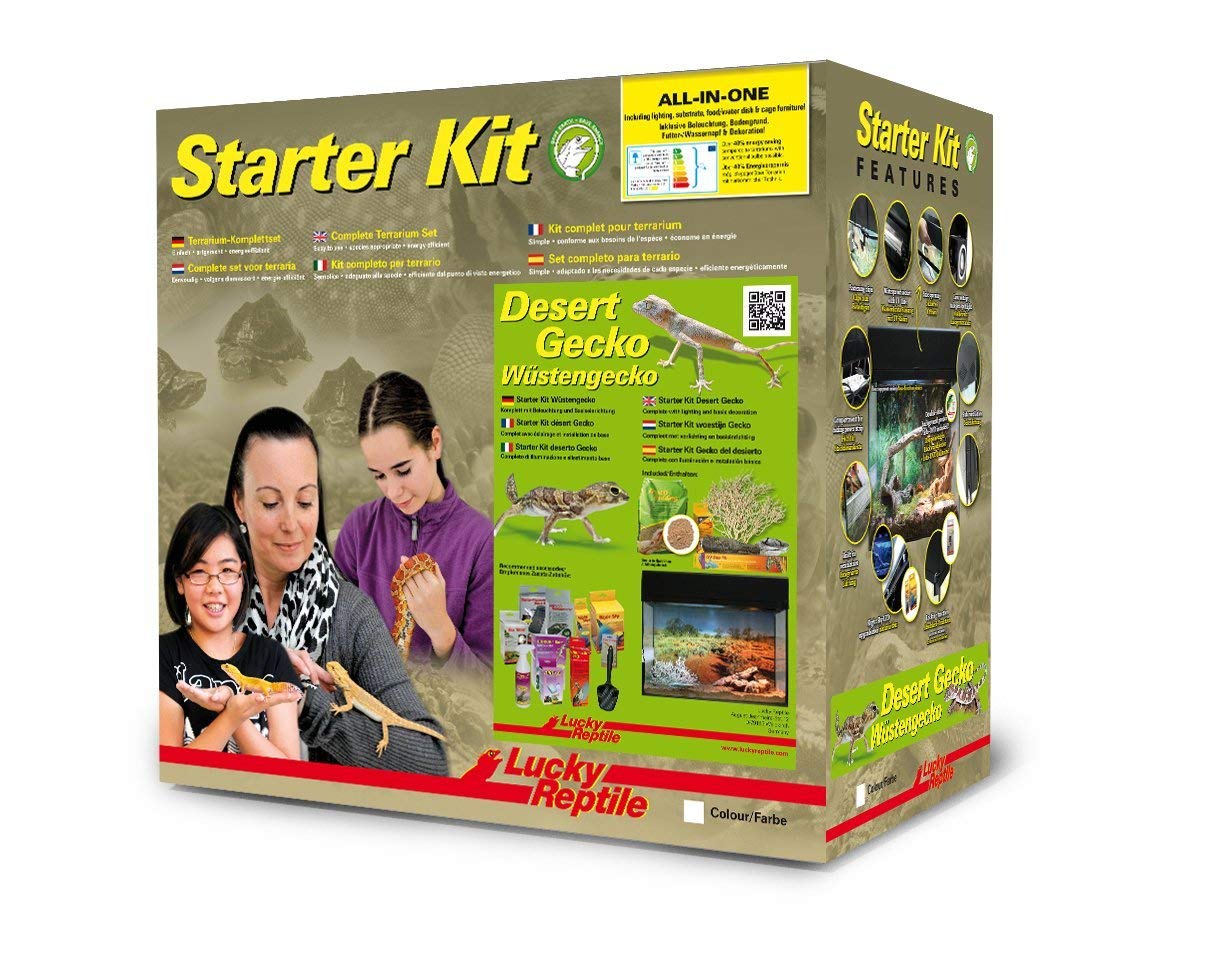 Lucky Reptile Kit de Inicio geco de Arena 50 cm - Set Completo de terrario para gekkos pequeños Kit de terrario para hasta 4 gecos - Set de Inicio lagartijas Color Blanco