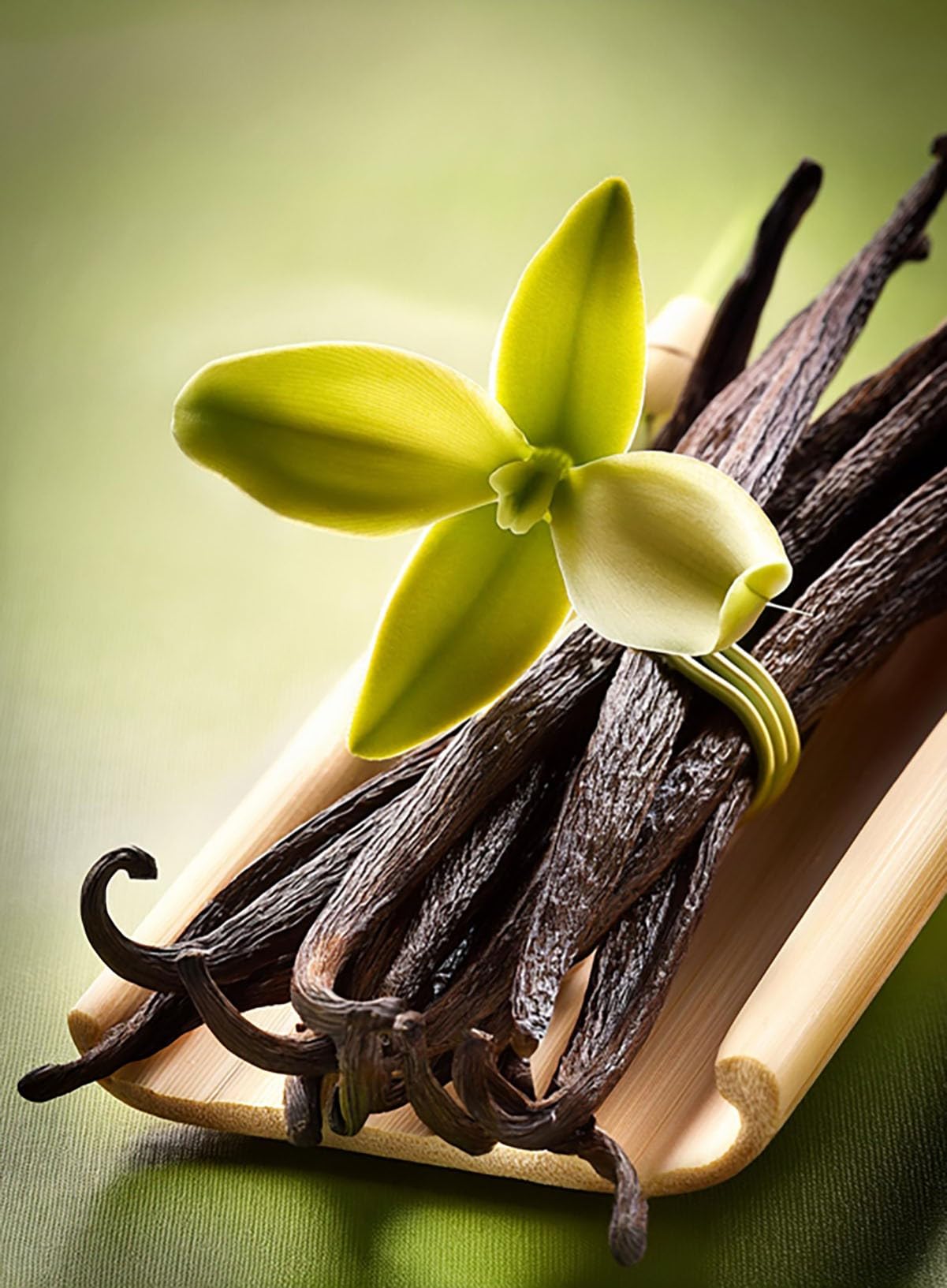 5 vainas de vainilla BOURBON GOURMET de Madagascar - Vainas frescas de larga conservación, bolsa de frescura resellable sin aromas artificiales de la vendimia 2024, tamaño 14/16 cm