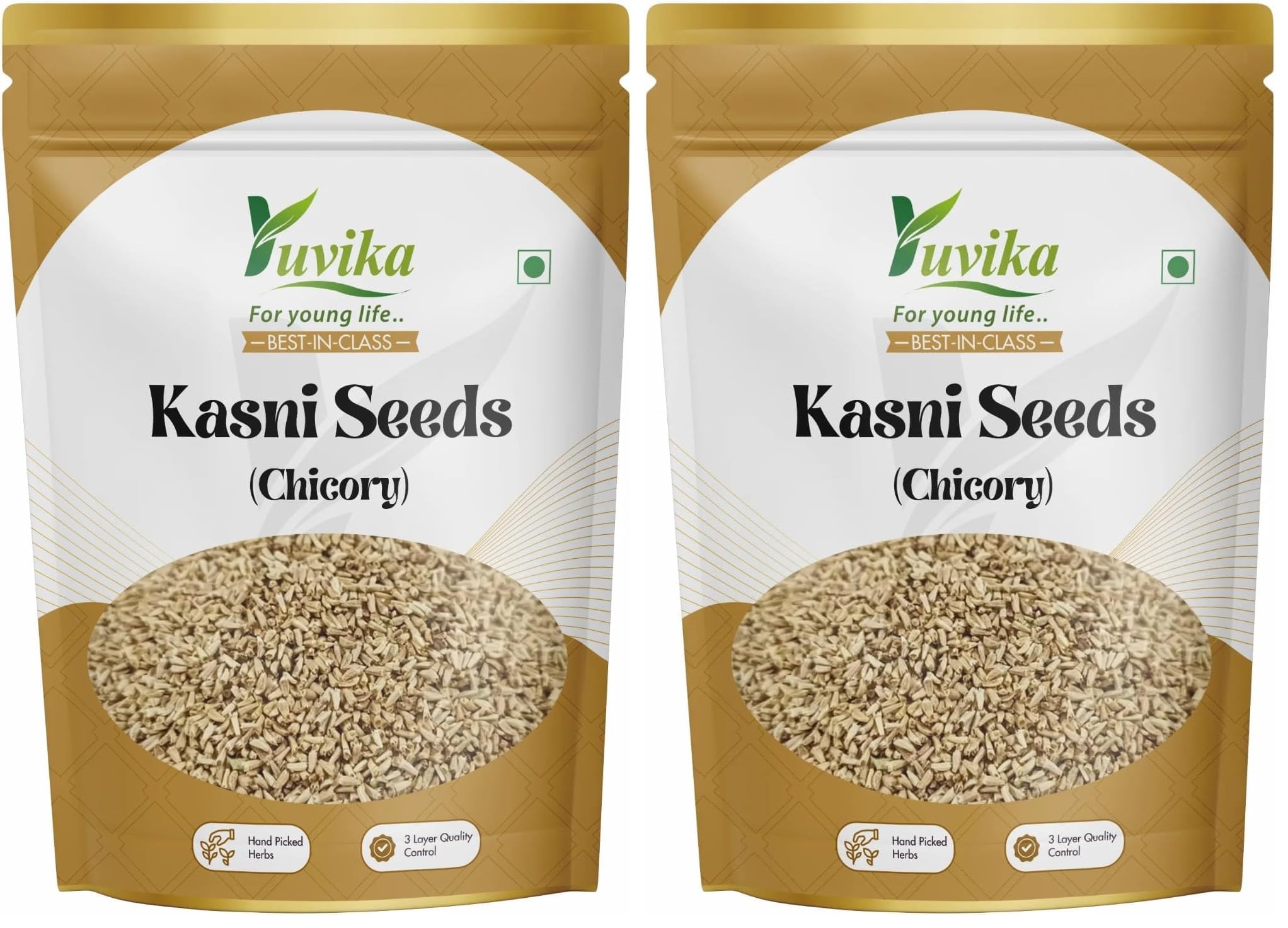 Kasni Seeds - Cichorium Intybus Benefits -4 Kasni Seeds - Cichorium Intybus Benefits -4