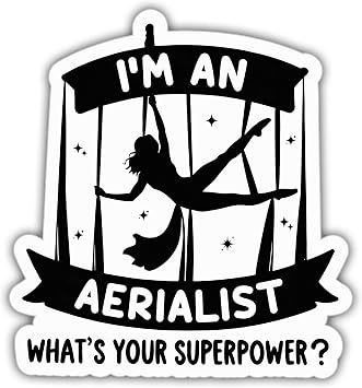 Aerial Yoga Stickers Funny Im an Aerialist Whats Your Funnny Vinyl Stickers, Weather-Resistant Sticker for Water Bottles, Laptop, Window, Car Size 3"