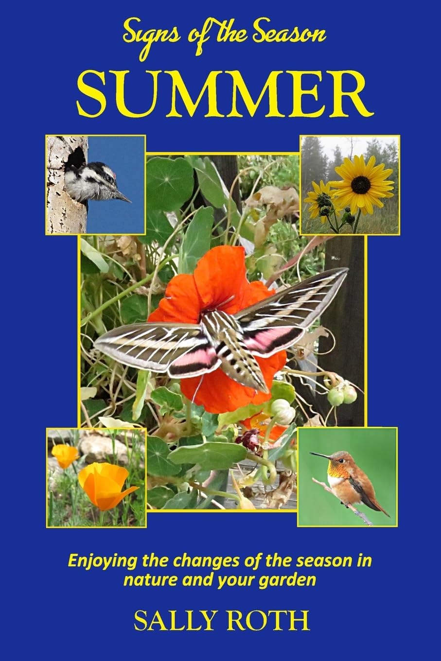 Signs of the Season: Summer