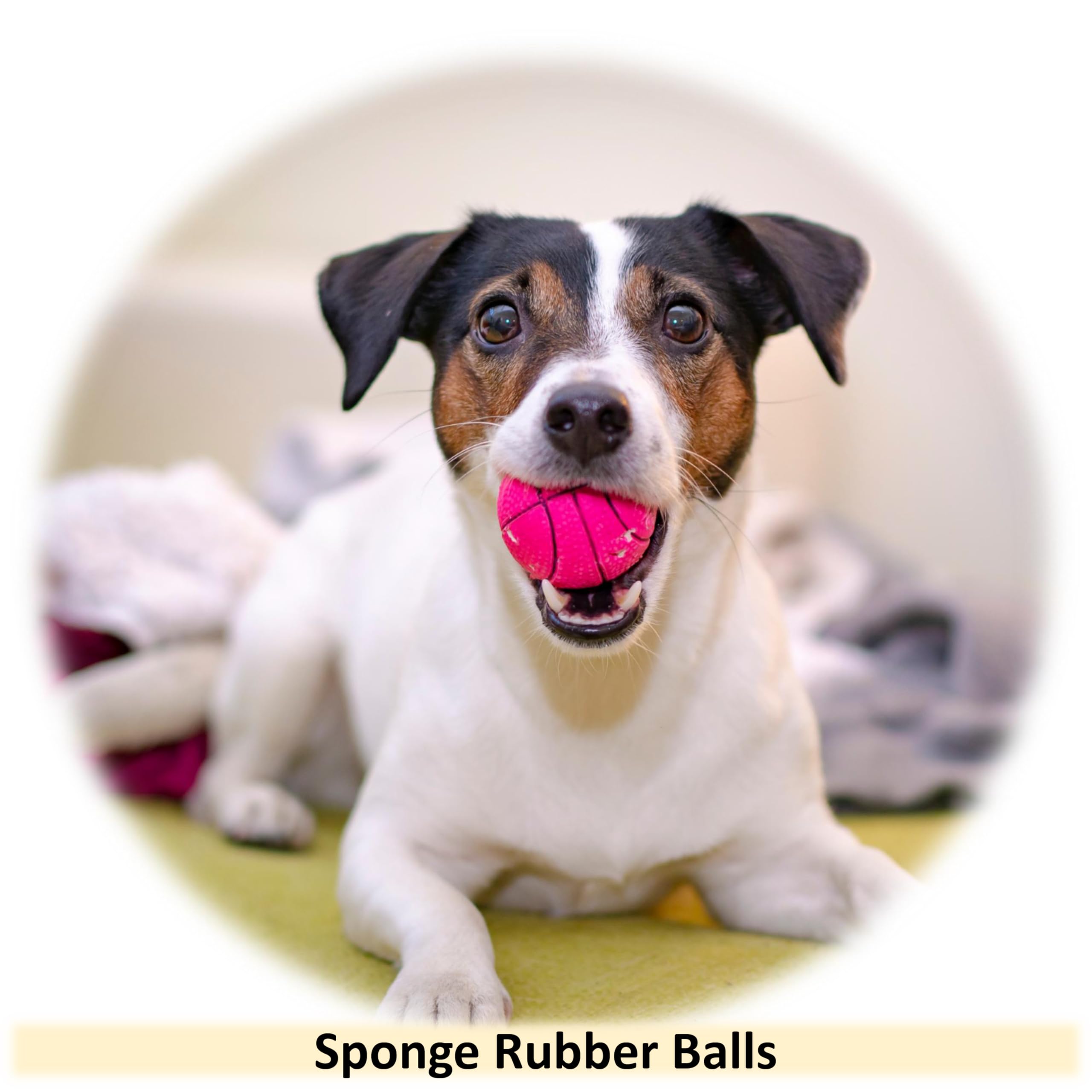 Lot de 16 balles flottantes en caoutchouc pour chien - 6 cm - Jouet flottant à rebond élevé - Noyau solide - Éponge - Jouets interactifs pour chiots, chiens de petite et moyenne taille