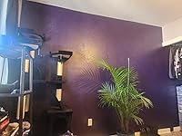 Review Image by Paige S. Paige S.