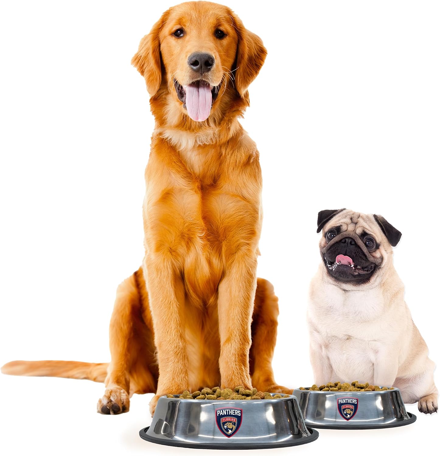 Littlearth NHL Florida Panthers Everyday Pet Bowl, Small